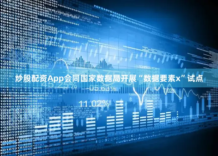 炒股配资App会同国家数据局开展“数据要素x”试点