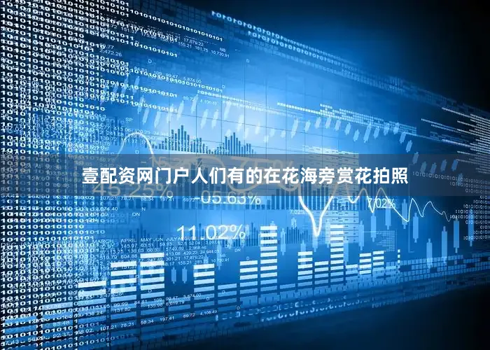壹配资网门户人们有的在花海旁赏花拍照