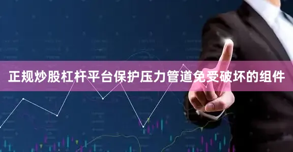 正规炒股杠杆平台保护压力管道免受破坏的组件
