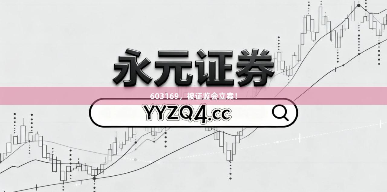 603169，被证监会立案！
