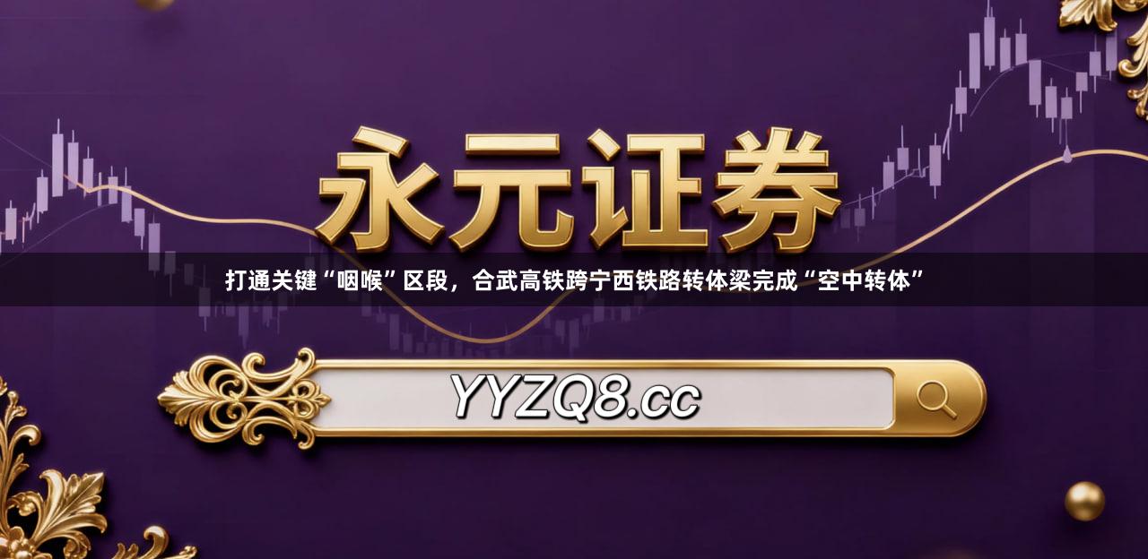 打通关键“咽喉”区段，合武高铁跨宁西铁路转体梁完成“空中转体”