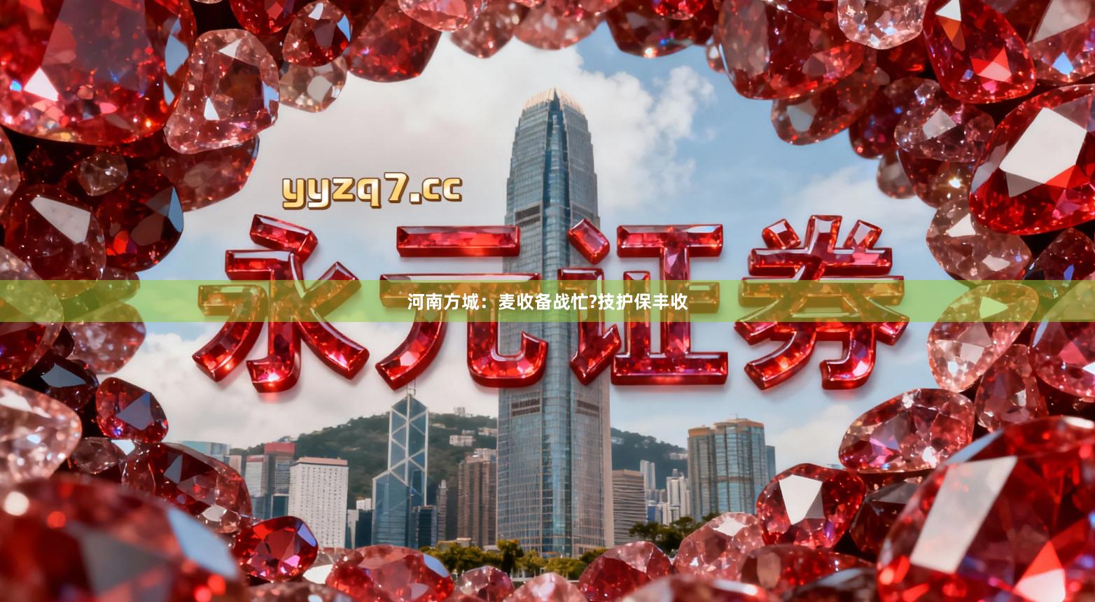 河南方城：麦收备战忙?技护保丰收