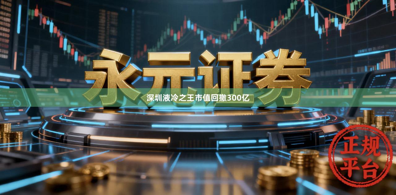 深圳液冷之王市值回撤300亿