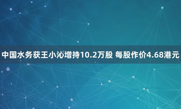 中国水务获王小沁增持10.2万股 每股作价4.68港元